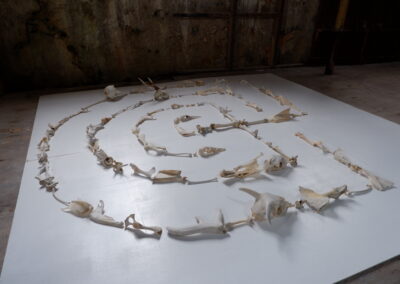 Bone — Alchemy poetry piece