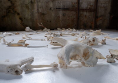 Bone — Alchemy poetry piece