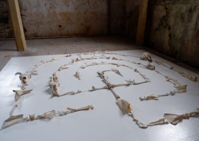 Bone — Alchemy poetry piece