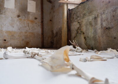 Bone — Alchemy poetry piece