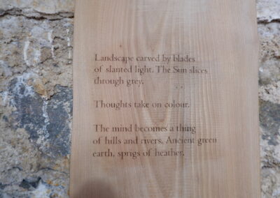 Engraved Elm wood, 100 x 30 x 4cm, natural elm & beeswax