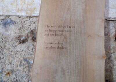 Engraved Elm wood, 100 x 30 x 4cm, natural elm & beeswax