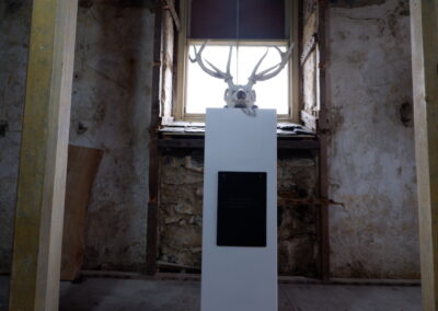 Alchemy exhibition installation view