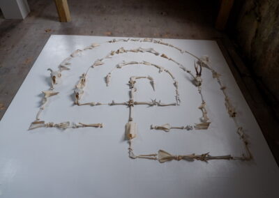 Bone labyrinth, 243 x 242 x 2cm, bone on board